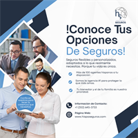 Hispanoseguros LLC