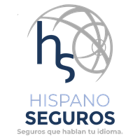 Hispanoseguros LLC