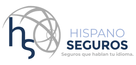 Hispanoseguros LLC