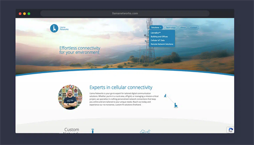 Technology Firm - Llama Networks