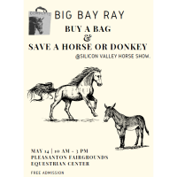 Big Bay Ray at Silicon Valley Horse Show