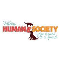 Whiskey Tasting Event: Valley Humane Society at Sabio on Main with 10th Street Distillery