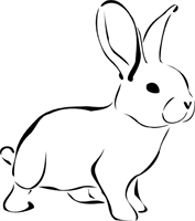 White Rabbit Business Solutions White Rabbit Business Solutions