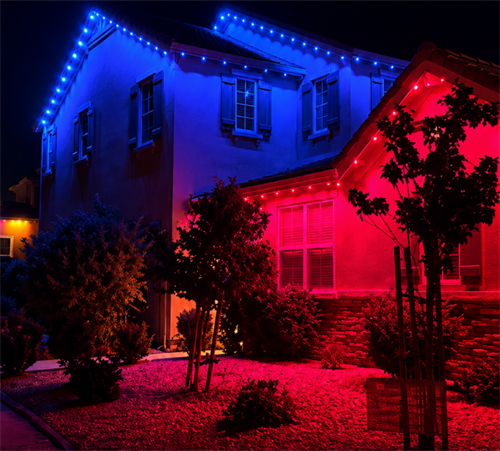 Gallery Image _11.png