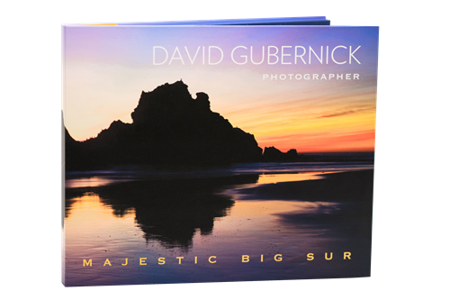 Gallery Image Gubernick-Front_Cover__.png Gallery Image Gubernick-Front_Cover__.png