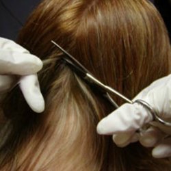 Hair Testing can show drug & alcohol use over a 6 month period