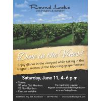 Dine in the VInes at Round Lake Vineyards