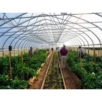 “Cooking with a Cardiologist” at the UPMC Memorial Farm Featured Heart-Healthy, Farm-Grown Cuisine