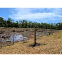 Main Street Hanover Awarded Environmental Action Grant to Enhance Slagle Run Restoration Project