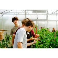 ''Farm to Forchetta'' Draws Record Community Support for UPMC Pinnacle Foundation’s Farm to Hospital Program