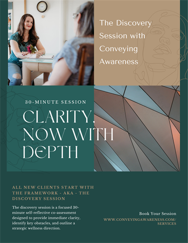 Gallery Image The_Framework_-_the_Self_Reflective_Discovery_Session_-_2026.png