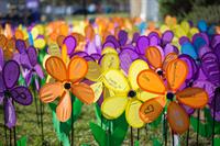 2019 Ridgecrest Walk to End Alzheimer's
