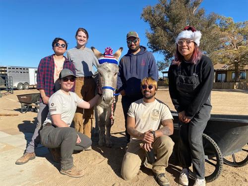 American Conservation Experience Volunteers 