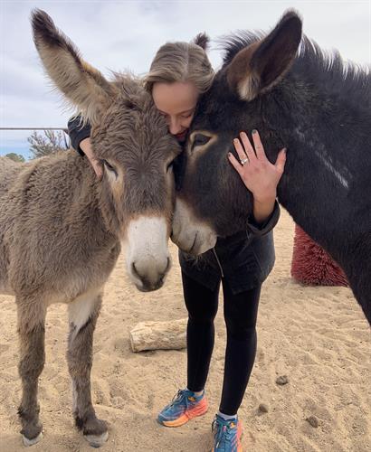 Everyone needs donkey hugs
