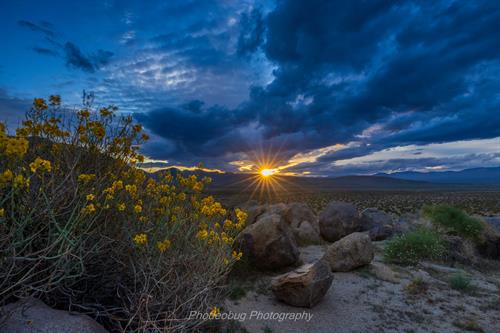 Gallery Image Last_Light_Before_the_Storm.jpg