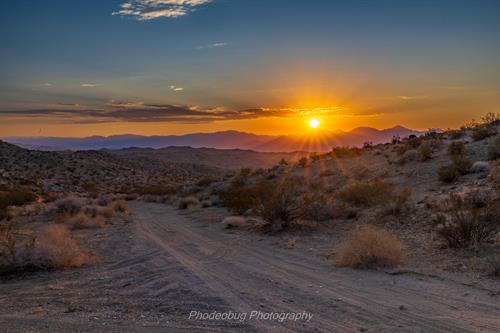 Gallery Image Last_Rays_of_the_Day.jpg