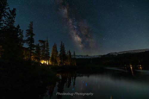 Gallery Image Pines_Below_the_Galaxy.jpg