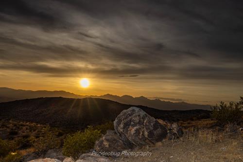 Gallery Image Watching_the_Sunset_On_a_Hill.jpg