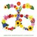 Discover Arbonne