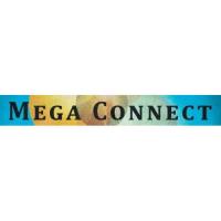 Multi-Chamber Mega Connect Virtual Networking Luncheon