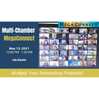Multi-Chamber Mega Connect Virtual Networking Luncheon