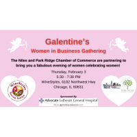 Galentine’s Women in Business Multi Chamber Event with Park Ridge