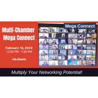 Multi-Chamber Mega Connect Virtual Networking Luncheon - February
