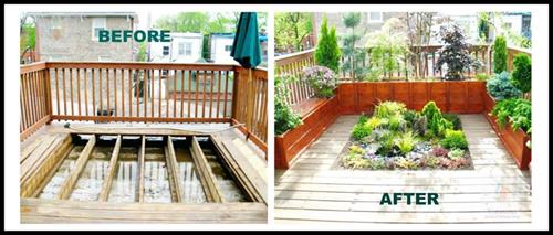 I created a garden outside a client bedroom. Trees were planted in the boxes and a tiny small garden was installed in the middle I created a garden outside a client bedroom. Trees were planted in the boxes and a tiny small garden was installed in the middle