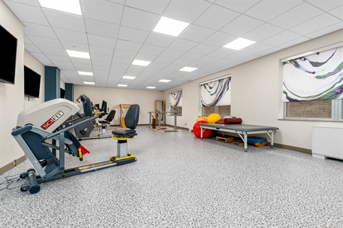 Therapy Gym