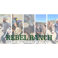 Paws 4 Success Inc. DBA Rebel Ranch