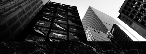 DAMA Design & Build Inc