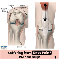 Empower Physical Therapy & Wellness - Chino