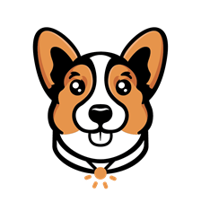 APOLLO PET SERVICES AND GROOMING INC