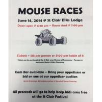 Mouse Races