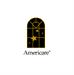 Americare on Aging Series - Conductorcise with Maestro David Dworkin