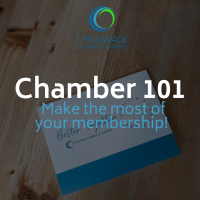 Chamber 101