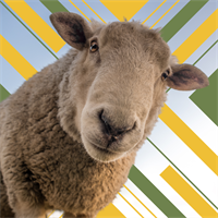 The 153rd Chilliwack Fair
