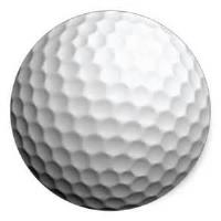 6th Annual Golf Outing