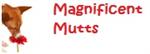 Magnificent Mutts