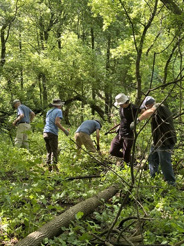 Restoration Rangers volunteers 