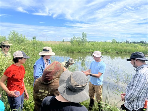 Wetland monitoring 