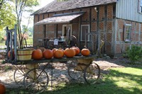 Autumn at the Village