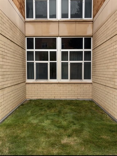 Gallery Image IMG_2999.jpeg