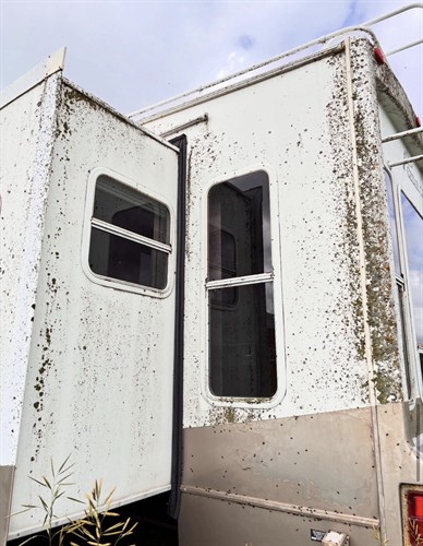 Gallery Image IMG_3006.jpeg