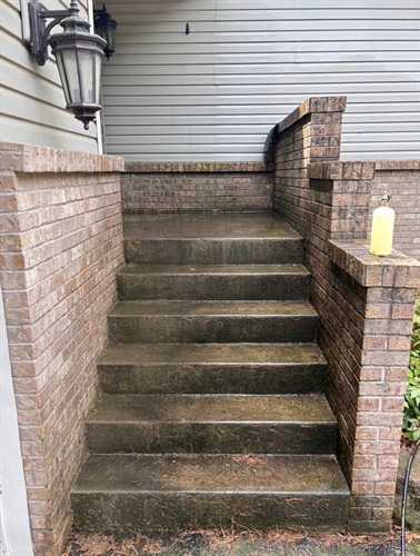 Gallery Image IMG_3012.jpeg