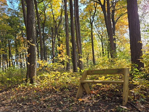 Gallery Image 20241020_091407.jpg