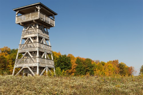 Gallery Image MNP_10-02-12_31.jpg