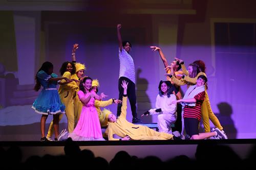 Gallery Image Spring_Musical_-_small.jpg