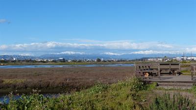 Friends of Ballona Wetlands