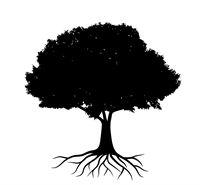 Pepper Tree Wellness